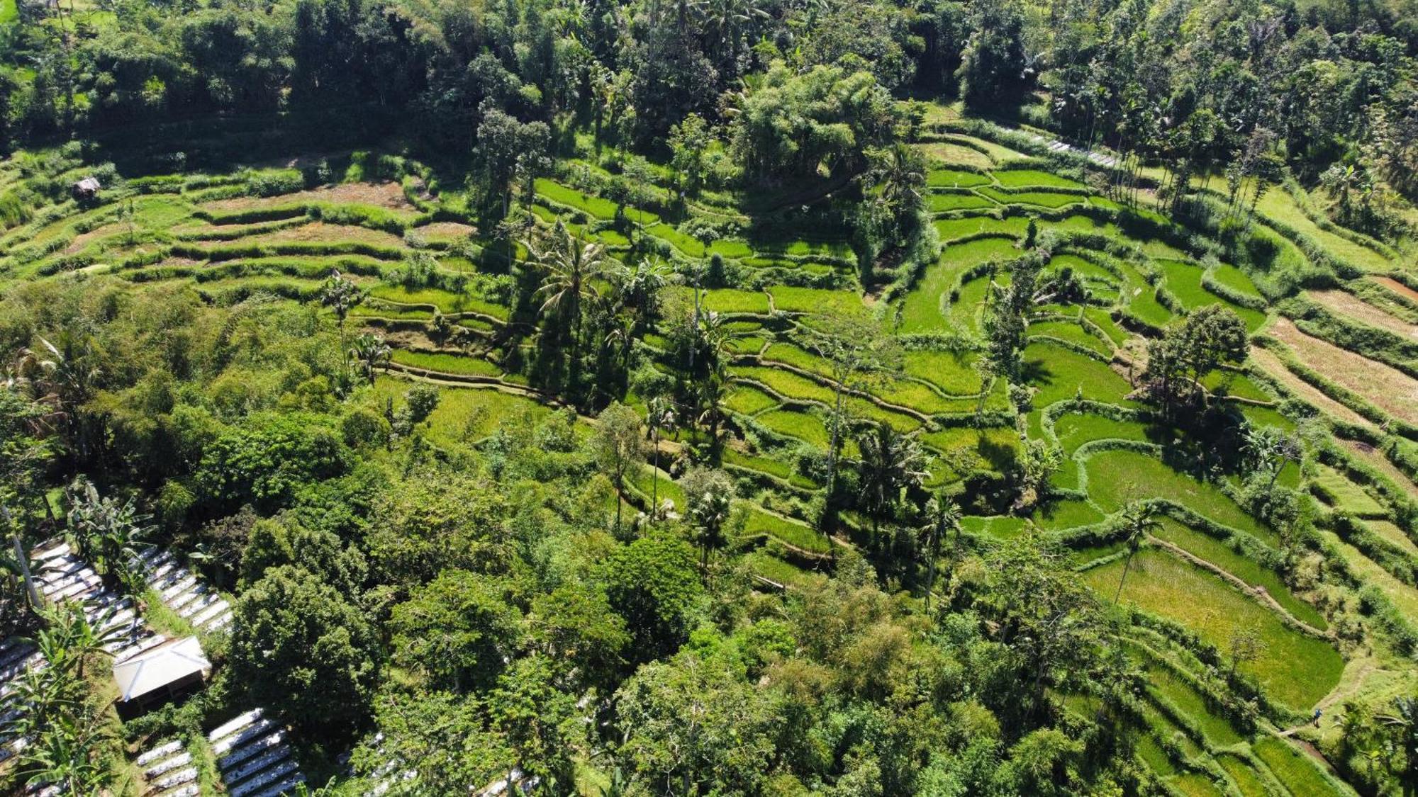 Nan Bungalows Tetebatu Bagian luar foto