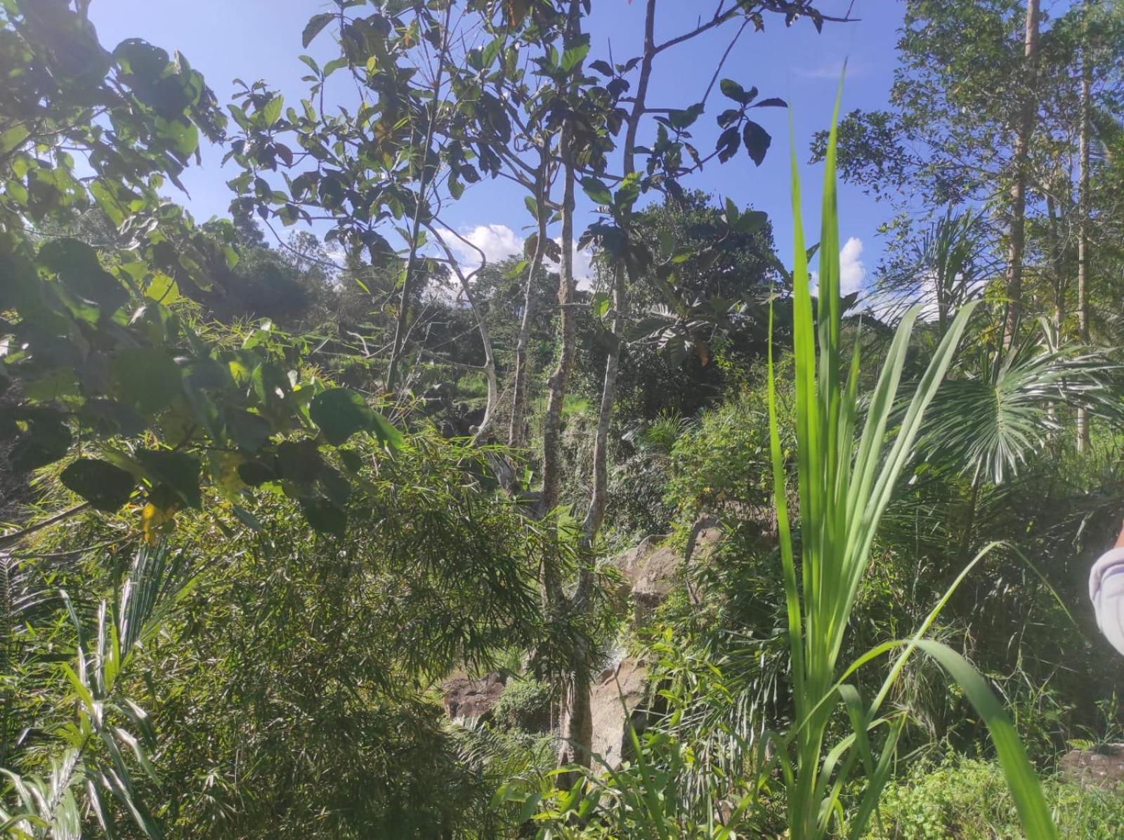 Nan Bungalows Tetebatu Bagian luar foto