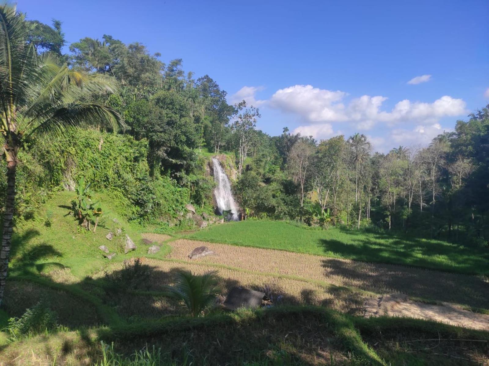 Nan Bungalows Tetebatu Bagian luar foto