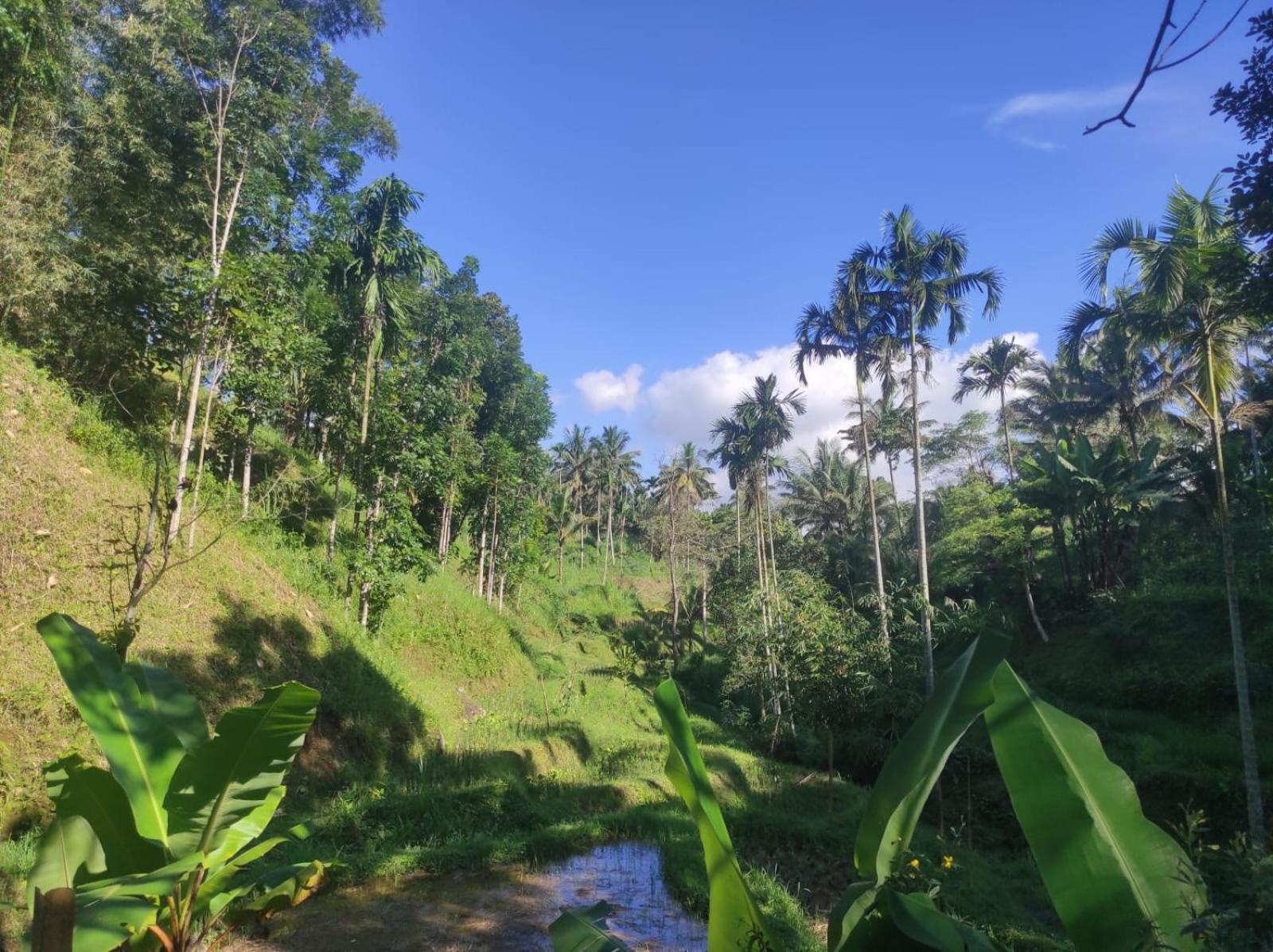 Nan Bungalows Tetebatu Bagian luar foto