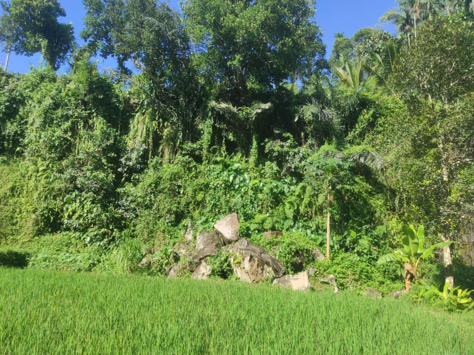 Nan Bungalows Tetebatu Bagian luar foto